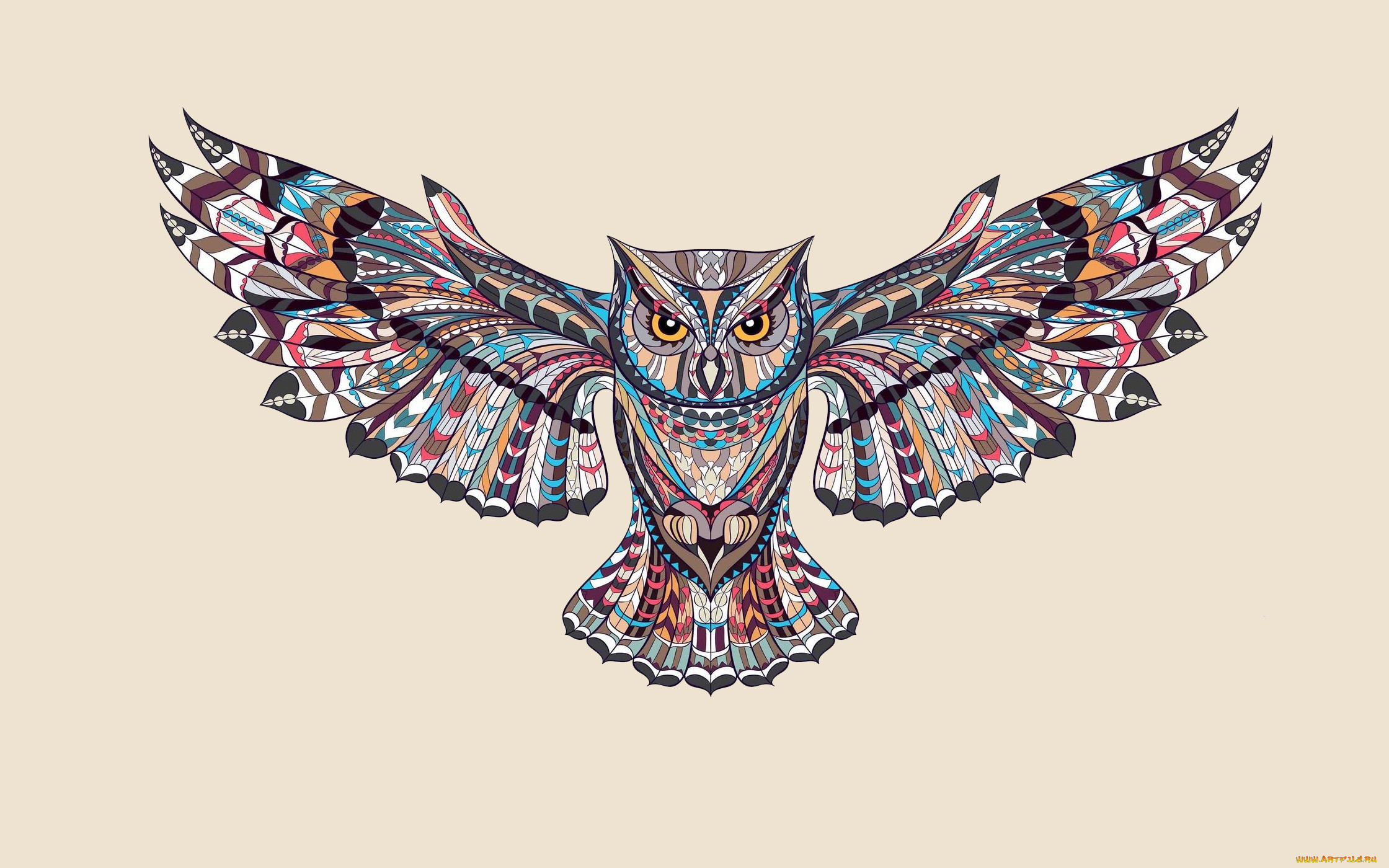  ,  , animals, , , , , , owl, 